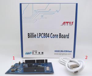 DVK2013_BILLIE LPC804 BOARD